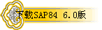 SAP84 6.0